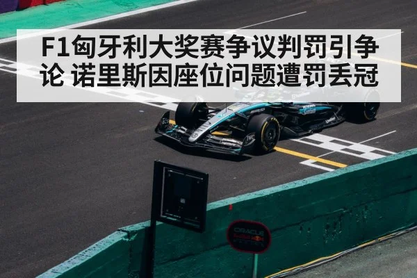 F1匈牙利大奖赛争议判罚引争论 诺里斯因座位问题遭罚丢冠